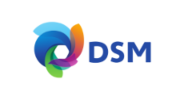 DSM